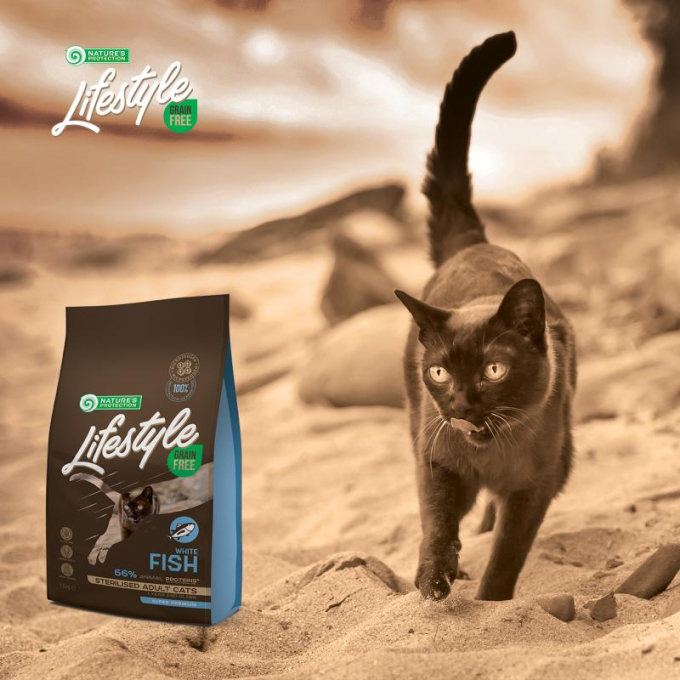 Fish free cat hotsell food
